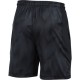 Pánské kraťasy Under Armour Raid 8 Novelty Short